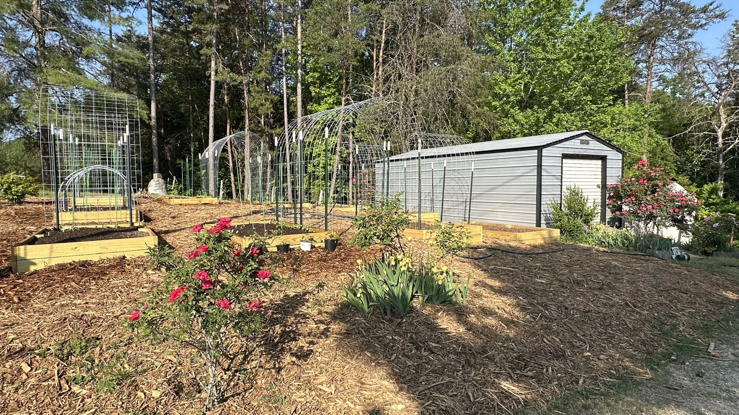 2026 – April Garden Log